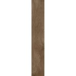 Πλακάκι Iberica Brown 20x120cm